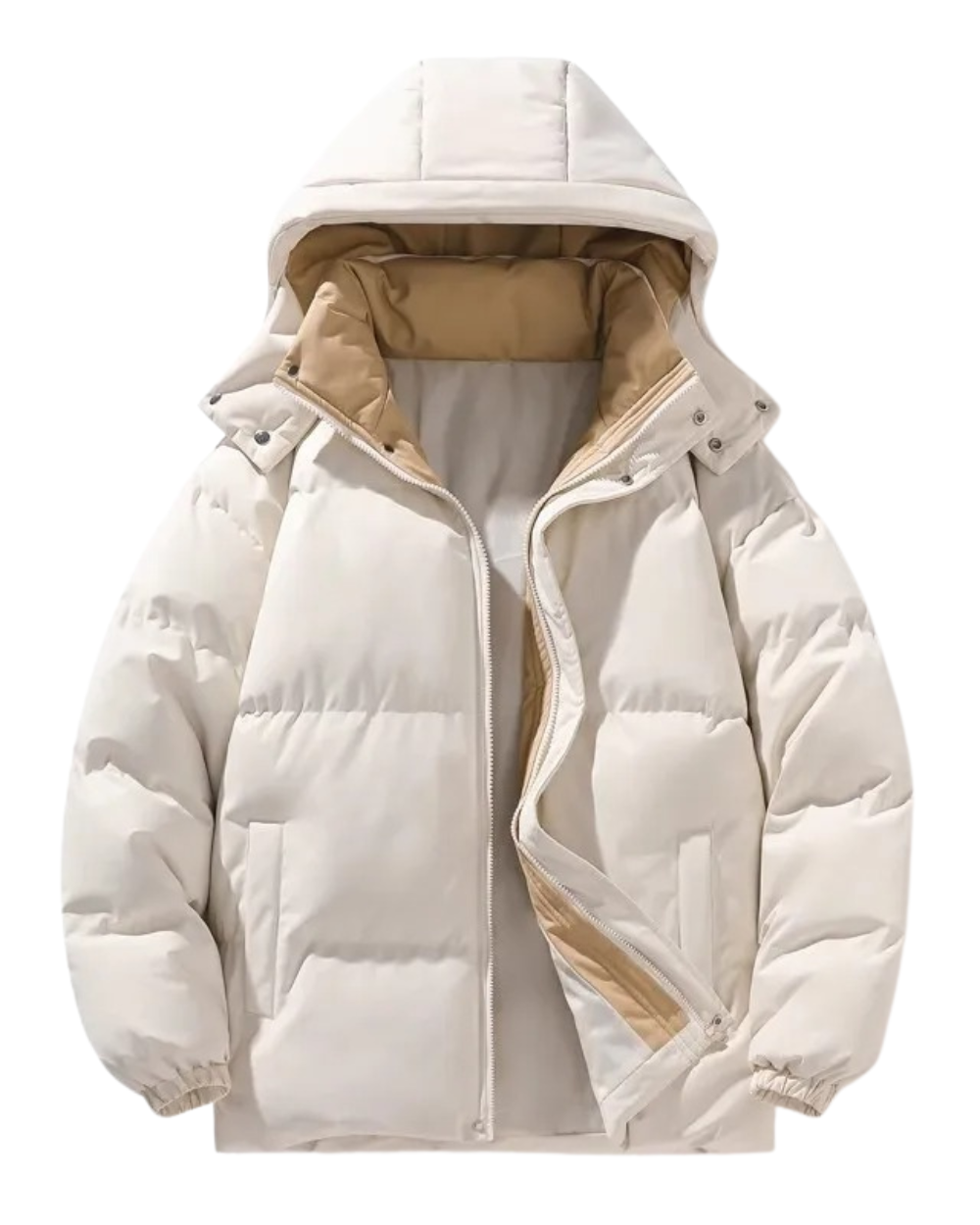 Untitleddesign_11_73577fda-4145-46ad-8ba1-78b6dbeeb376.png